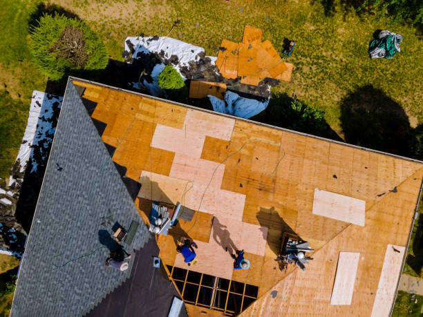 Best Roof Waterproofing Services  in Dillingham, AK