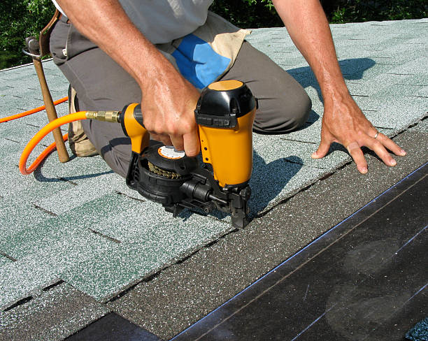 Best Roof Waterproofing Services  in Dillingham, AK