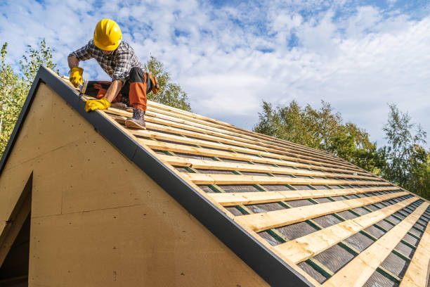 Best Roof Gutter Cleaning  in Dillingham, AK